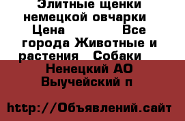 Элитные щенки немецкой овчарки › Цена ­ 30 000 - Все города Животные и растения » Собаки   . Ненецкий АО,Выучейский п.